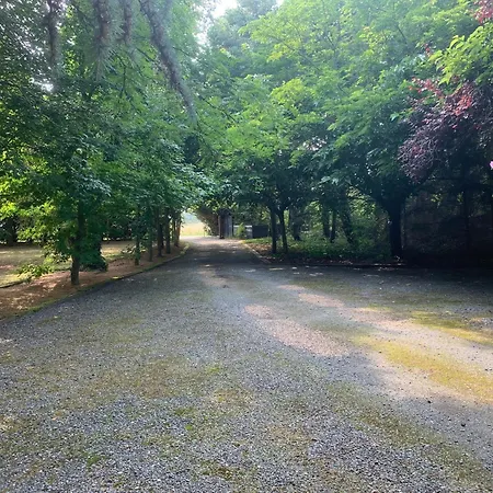 Séjourner Au Cœur De La Nature Entre Tours Et Angers - Fr-1-622-101 Saint-Philbert-du-Peuple